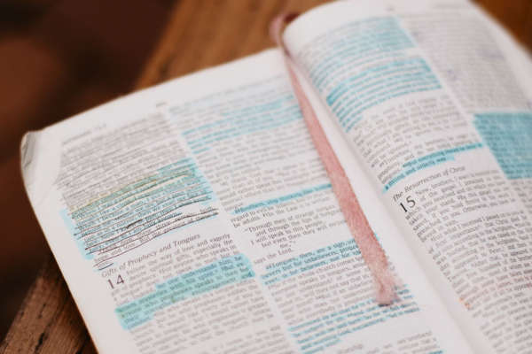 The Legacy of a Well-Loved Bible